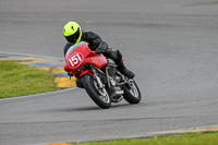 PJ-Motorsport-2019;anglesey-no-limits-trackday;anglesey-photographs;anglesey-trackday-photographs;enduro-digital-images;event-digital-images;eventdigitalimages;no-limits-trackdays;peter-wileman-photography;racing-digital-images;trac-mon;trackday-digital-images;trackday-photos;ty-croes